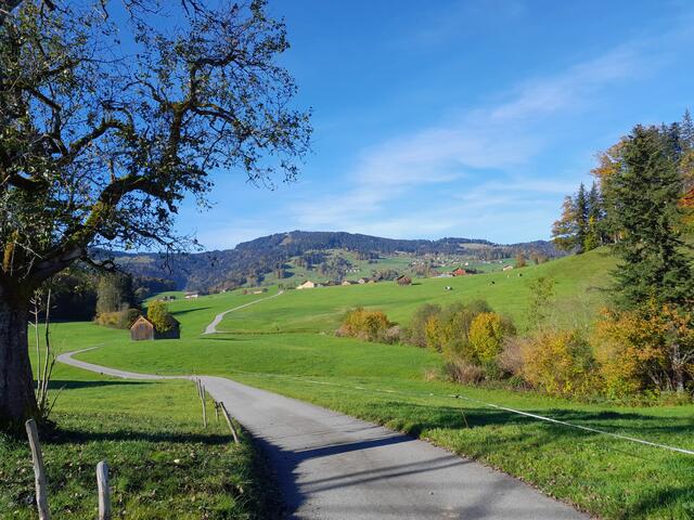Schwarzenberg mit Stausee Ach | Foto: R. Schmid und J. Campestrini