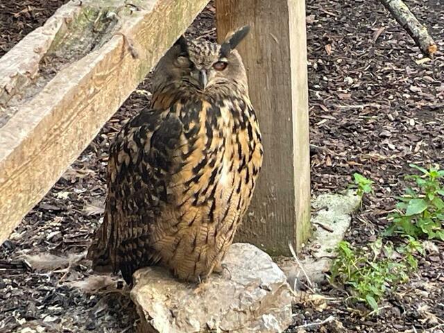 Foto: Martina Altmann