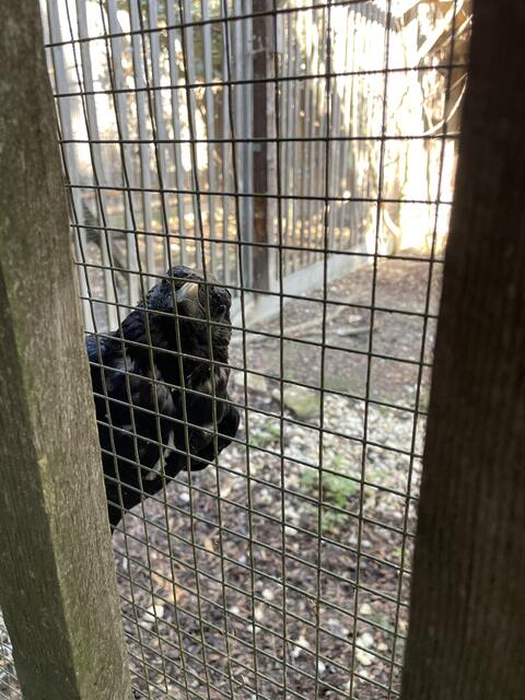 Foto: Martina Altmann