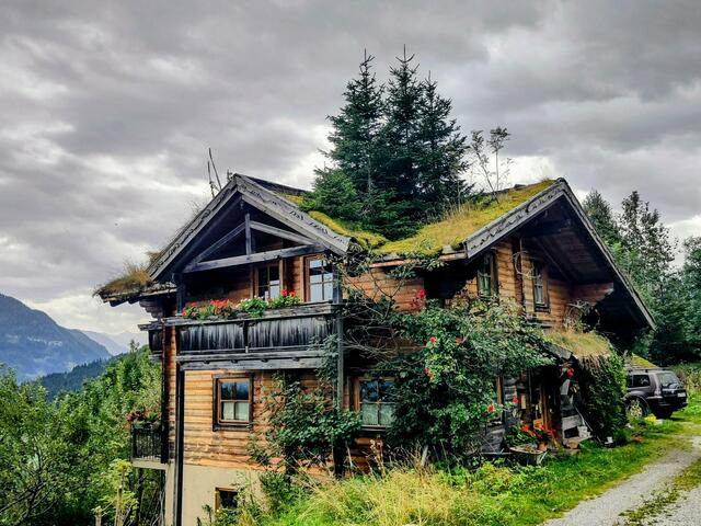 Immer wieder fasziniert mich das Haus von Ambros Aichhorn, das hoch über Goldegg Weng steht. Da wachsen Bäume und Blumen auf dem Dach. Muss jedesmal wenn ich mit dem Rad vorbei komme stehenbleiben und staunen. | Foto: Monika Fraunlob