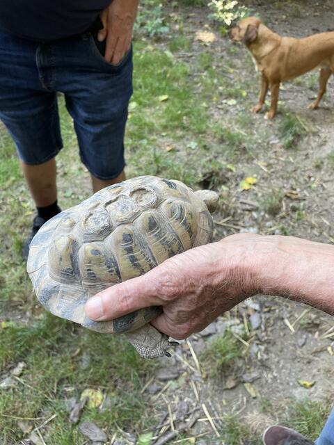 Foto: Martina Altmann