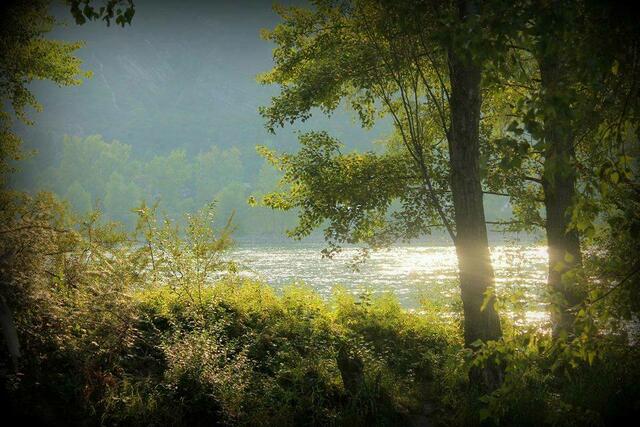 Herbstreigen
Ich freue mich auf das Kommen des Herbstes,
weil ich die bunten Farben der Blätter liebe,
weil ich etwas melancholisch werde und anfange, mehr in meine innere Welt hineinzuhorchen,
weil ich den Wandel von der Hitze des Sommers zu etwas kühleren Temperaturen genieße,
weil ich mich auf Äpfel, Birnen, Esskastanien und andere Herbstfrüchte freue,
weil ich nun anfange, intensiver zu träumen, und mich häufiger an meine Träume erinnere,
weil das Licht nun eine ganz eigene Qualität hat, die alle Konturen ganz weich macht und sie verschwimmen lässt,
weil alles so intensiv riecht.
weil ich mich auf das Rascheln der Blätter unter meinen Füßen freue.
Text: Manfred Miethe  
und ich freue mich mit ❤