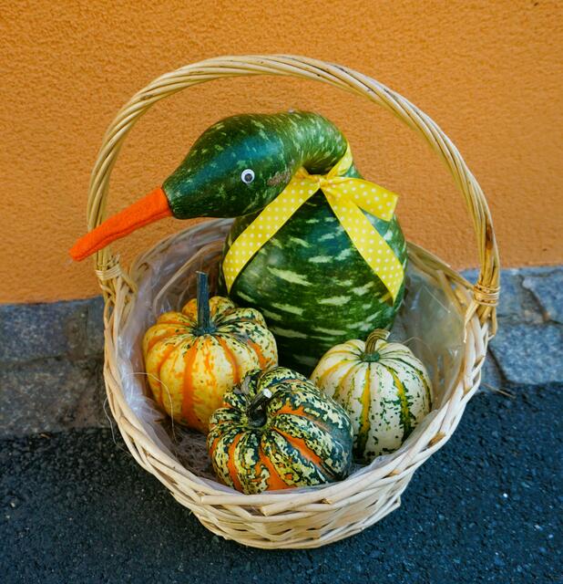 Foto: Margit Schadler