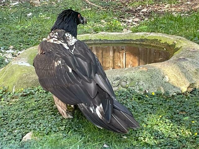 Foto: Martina Altmann