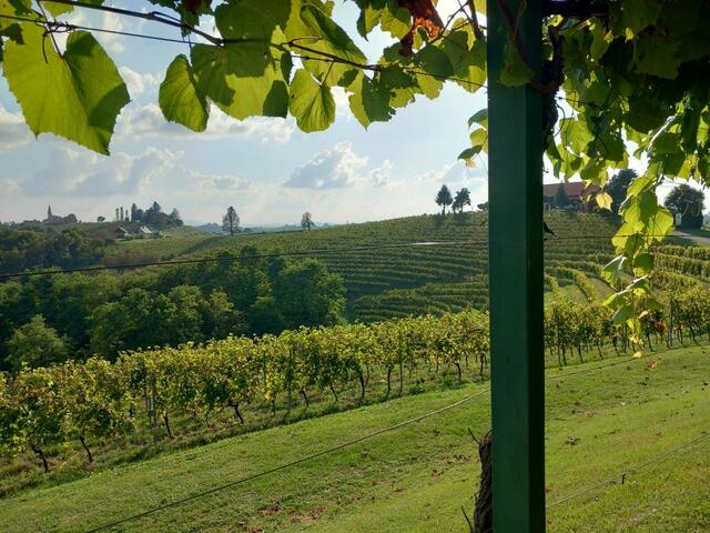 Foto: Oskar Wachholder