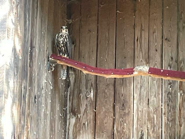 Foto: Martina Altmann