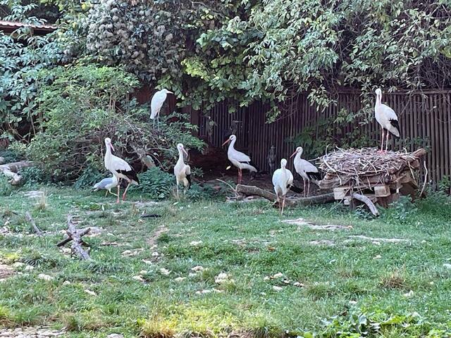 Foto: Martina Altmann