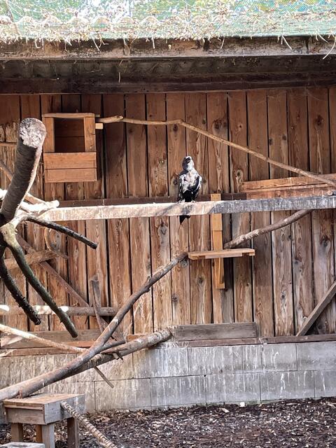 Foto: Martina Altmann