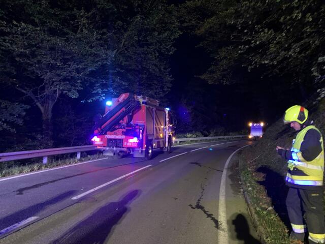 Foto: Feuerwehr Mattersburg
