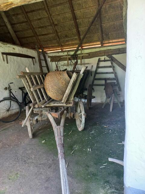 Foto: Oskar Wachholder