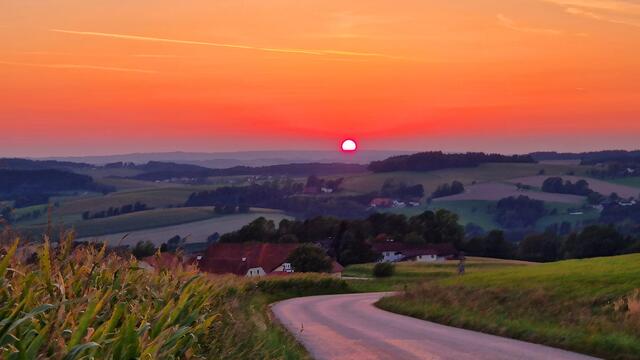 glühendrot versinkt die Sonne und verzaubert die Landschaft