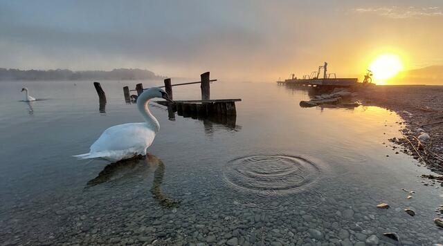 Morgenstund hat Gold im Mund. | Foto: Anton Wintersteller