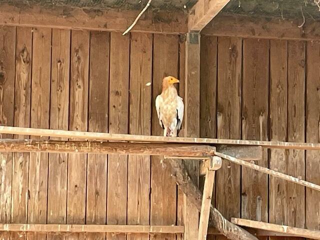 Foto: Martina Altmann