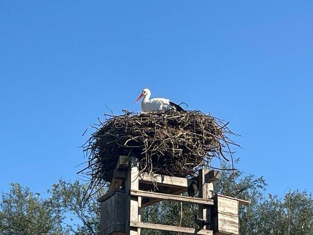 Foto: Martina Altmann