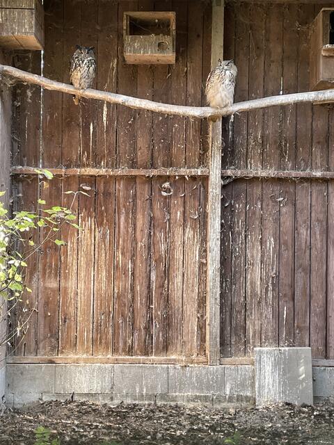 Foto: Martina Altmann