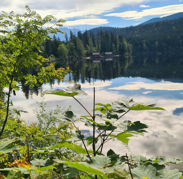 Sonntagswanderung um den See