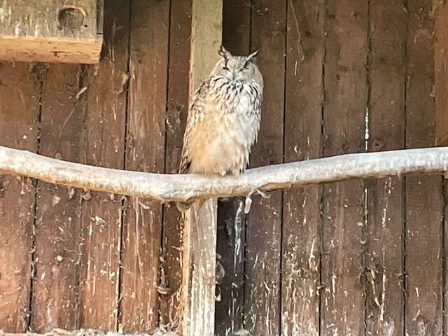 Foto: Martina Altmann