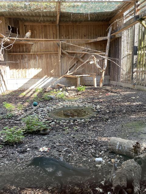 Foto: Martina Altmann