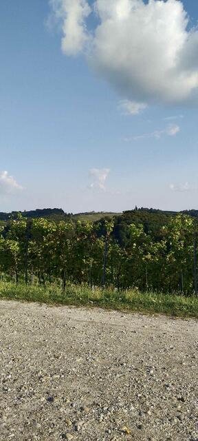 Foto: Oskar Wachholder