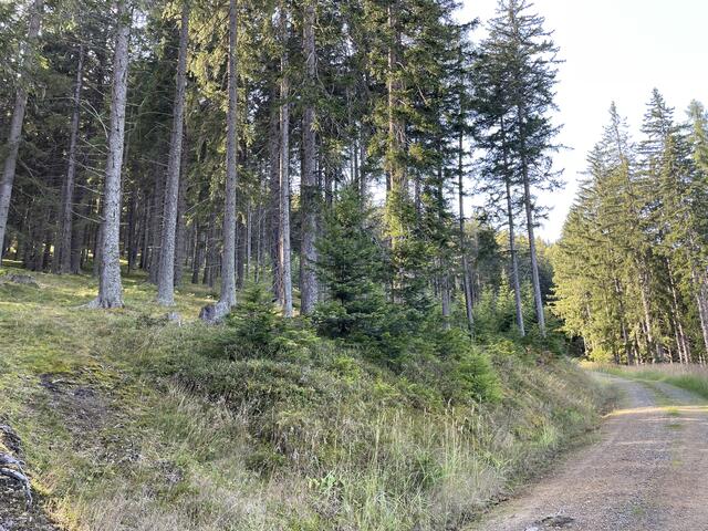 Foto: RegionalMedien Steiermark