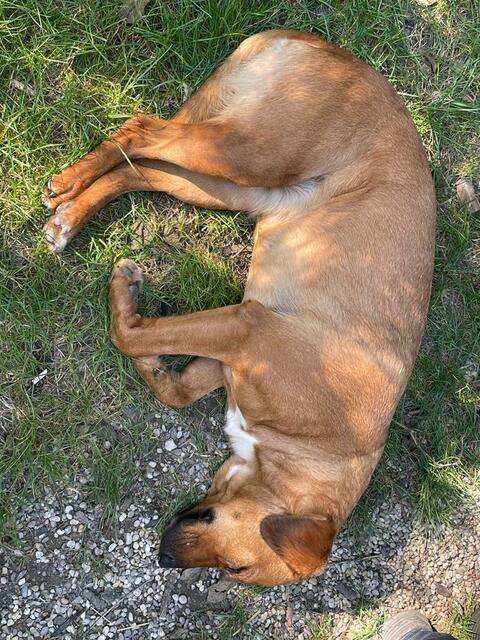 Foto: Martina Altmann