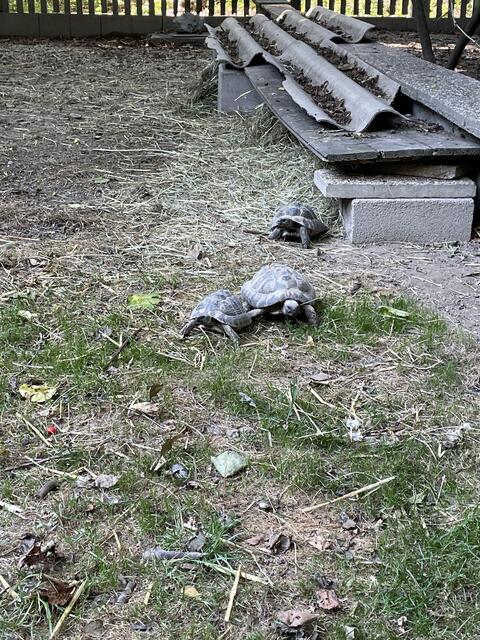 Foto: Martina Altmann