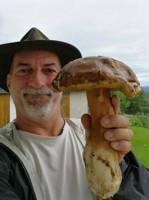 Einen stolzen Herrenpilz mit 27x20cm und 731 Gramm fand Robert Koci in Podgoria. Mittlerweile wurde der große Findling wohl vom stolzen Finder schon als Beilage oder in der Suppe genüsslich verspeist. | Foto: Koci