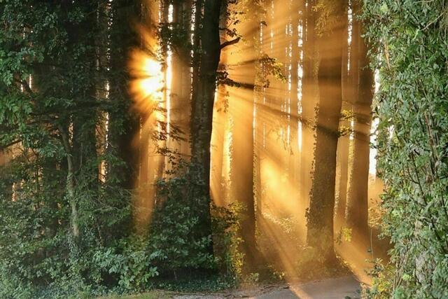 Magische Momente | Foto: Martina Stemeseder