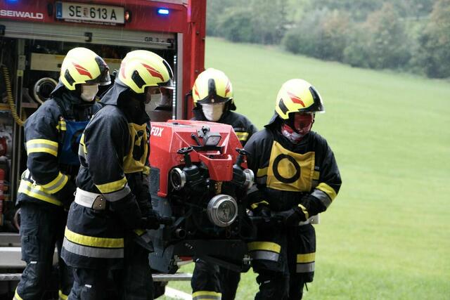 Für die Haustiere kam jede Hilfe zu spät. | Foto: BFK Steyr-Land