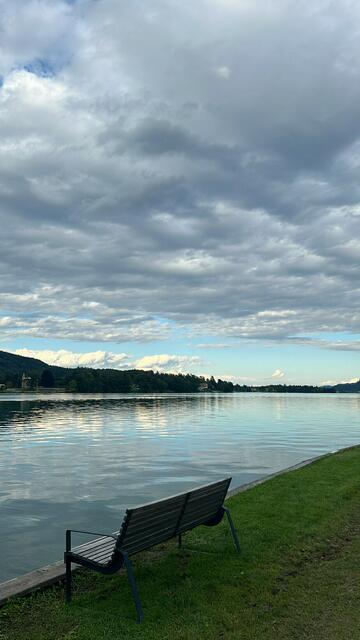 "Wenn auf Erden die Liebe herrschte, wären alle Gesetze entbehrlich!"  (Aristoteles)