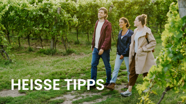 Beim Wandern lässt sich Niederösterreich ganz entspannt erleben − unzählige Wandertouren und Tipps machen Lust auf einen kleinen oder großen Urlaub. | Foto: © Niederösterreich Werbung/ Julius Hirtzberger