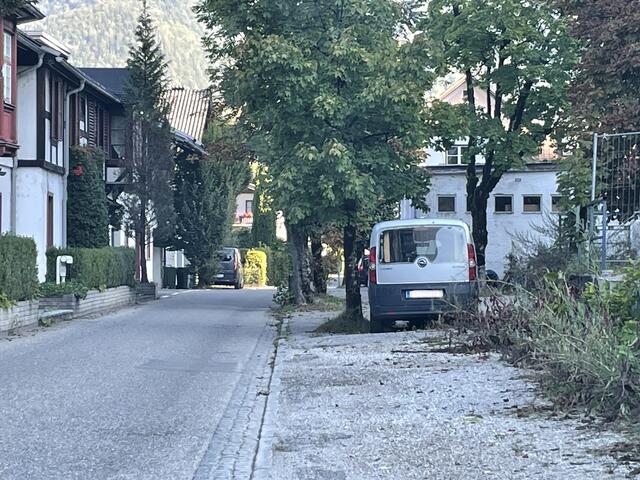 Standort: Traunkai nahe der ehem. Schenker-Halle. Achtung: Hier sind nur 30 km/h erlaubt!