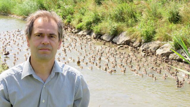 GRÜNE Umwelt- und Tierschutzsprecher Wolfgang Spitzmüller vor den ausgesetzten Enten | Foto: Medienservice GRÜNE