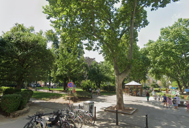 Im Alois-Drasche-Park werden zwei tote Bäume gefällt - und das lange, bevor sie ihre Lebenserwartung erreicht haben. | Foto: Screenshot Google Maps