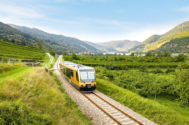 Günstiger mit KlimaTicket – Familienausflug mit Wachaubahn, Waldviertelbahn und Reblaus Express. | Foto: NB/Schwarz-König