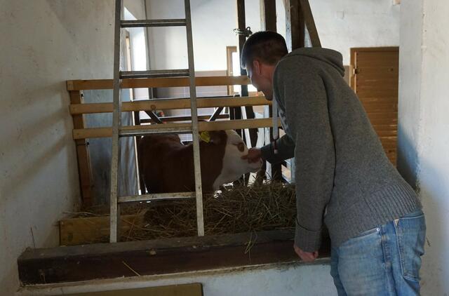 Ein kleiner Stall