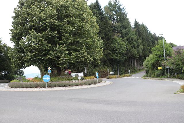 Die Höhenstraße führt vom Kreisverkehr Mellach nach Mellach-Dorf. | Foto: Edith Ertl