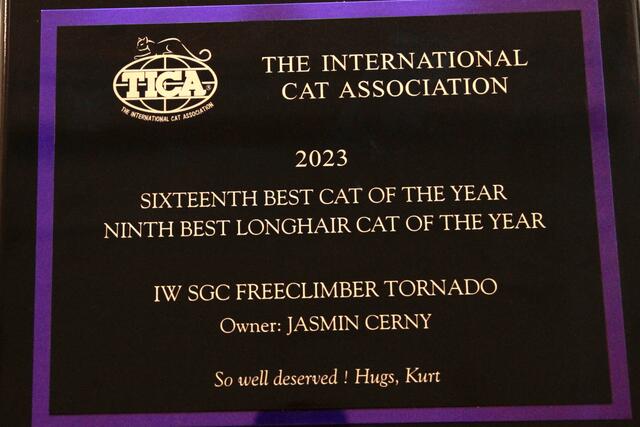 Foto: Friedrich Doppelmair