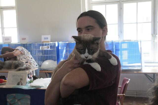 Foto: Friedrich Doppelmair