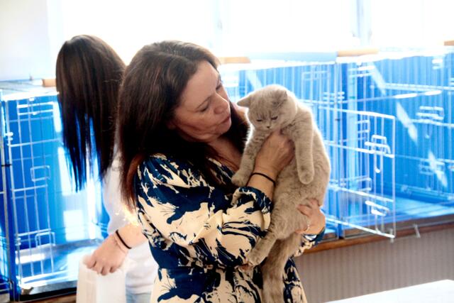 Foto: Friedrich Doppelmair