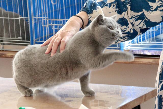 Foto: Friedrich Doppelmair