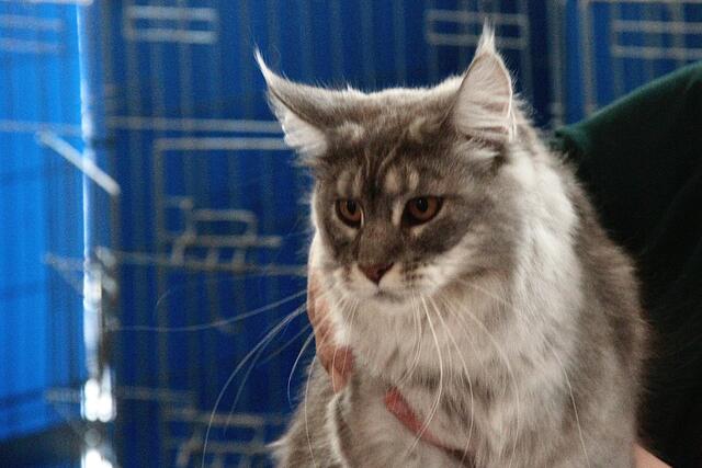 Foto: Friedrich Doppelmair