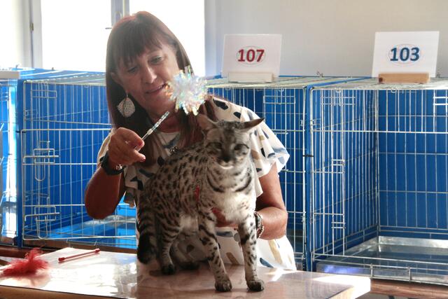 Foto: Friedrich Doppelmair