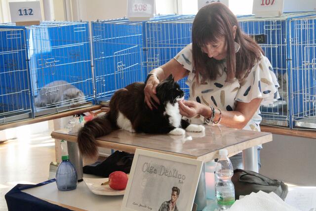 Foto: Friedrich Doppelmair