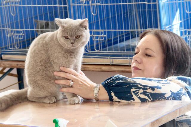 Foto: Friedrich Doppelmair