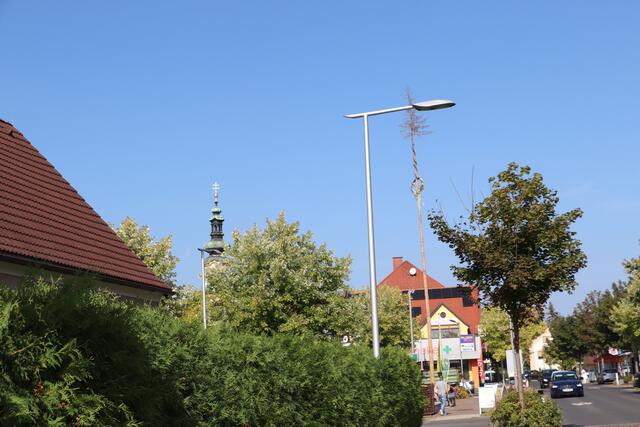 Noch steht der Maibaum am Marktplatz, aber nicht mehr lange | Foto: Edith Ertl