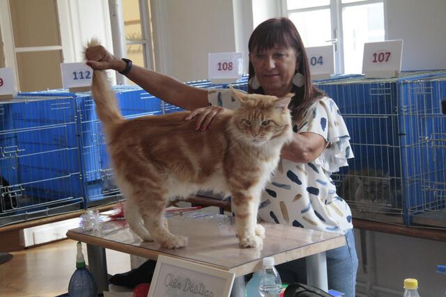 Foto: Friedrich Doppelmair