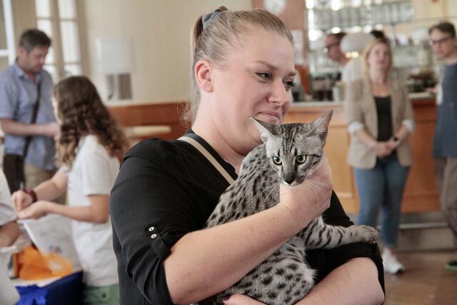 Foto: Friedrich Doppelmair