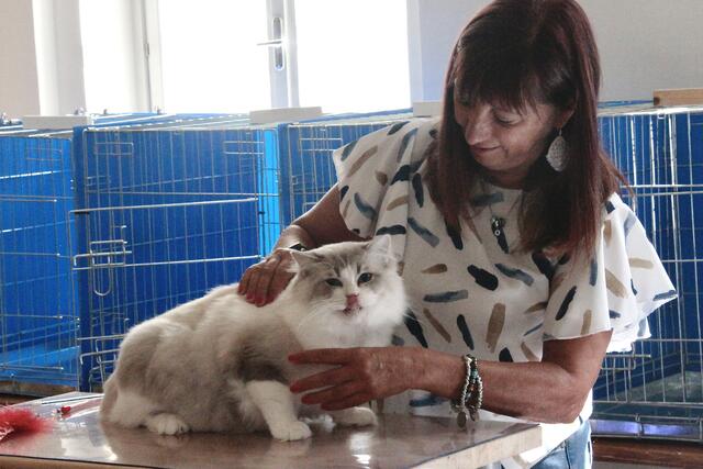 Foto: Friedrich Doppelmair