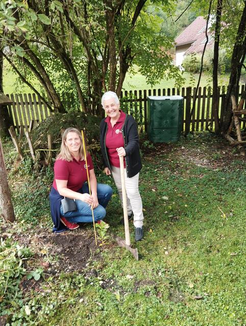 Ein Eichenbaum fürs Silvanum | Foto: Veronika Frank